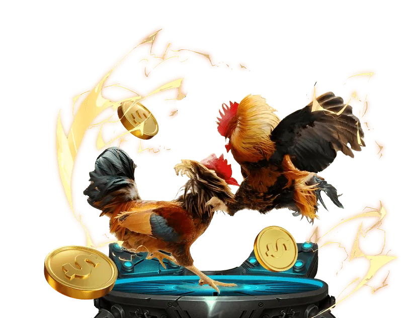 Các tính năng nổi bật khi chơi đá gà tại Win55